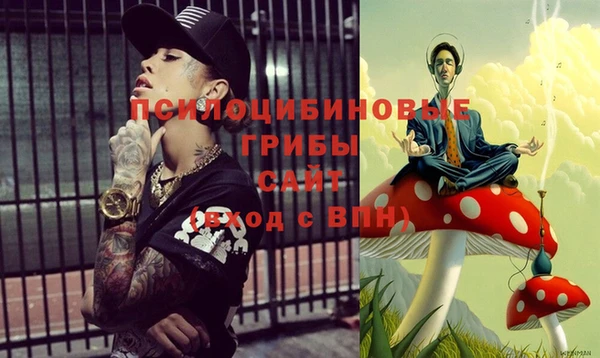 гашик Алексеевка