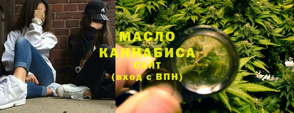мет Алексин