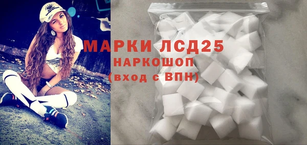 мет Алексин