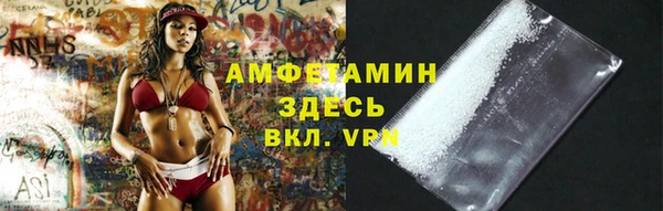 мет Алексин