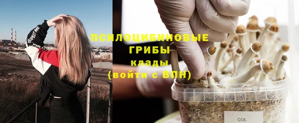 герыч Алзамай